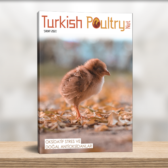 Turkish Poultry Aylık Dergi – Şubat 2022