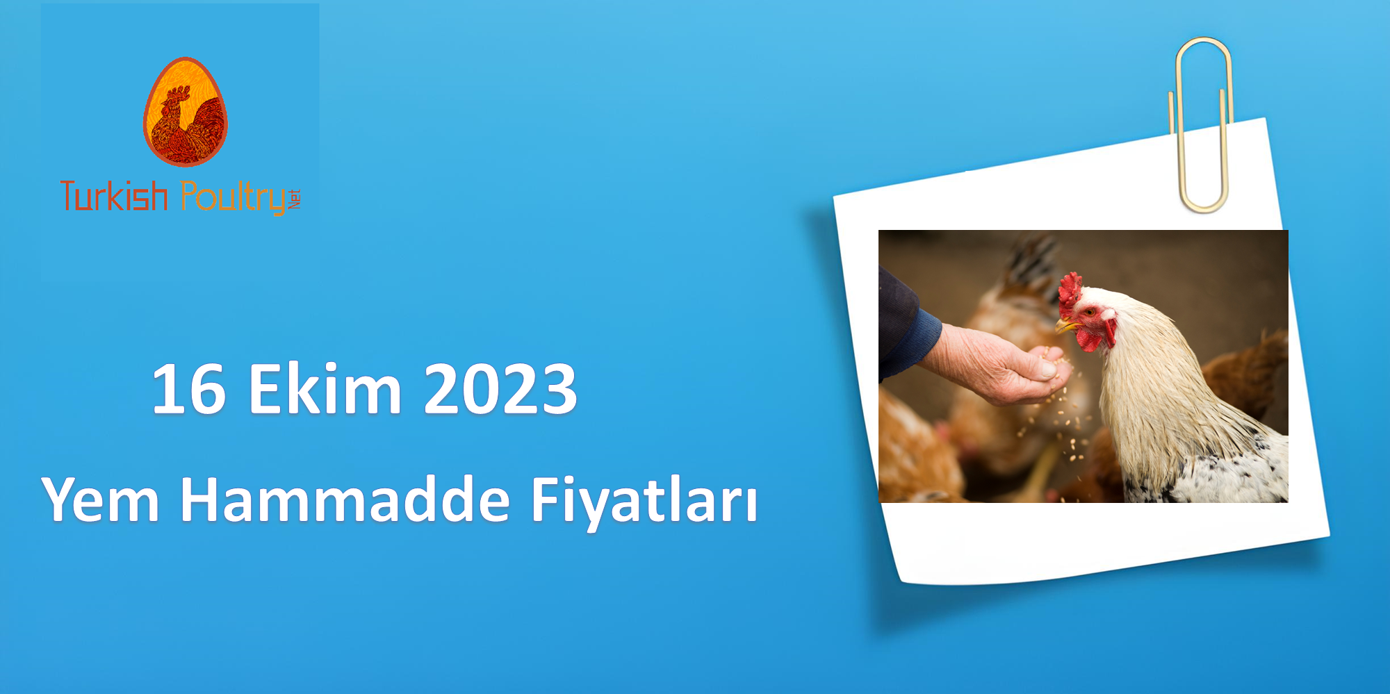 Yem Hammadde Kontratları / Aralık 2023