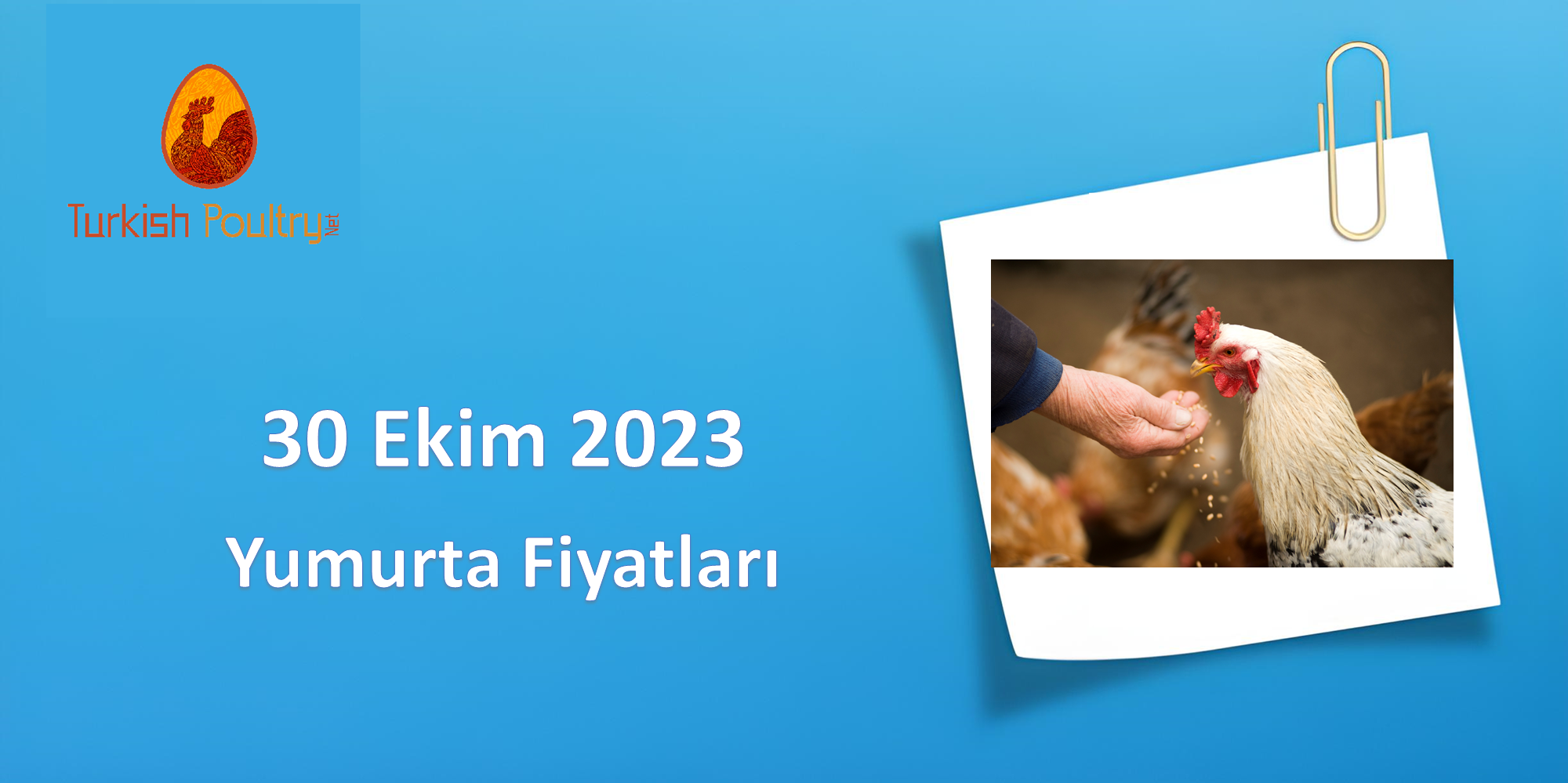 Yumurta Fiyatları – 30 Ekim 2023