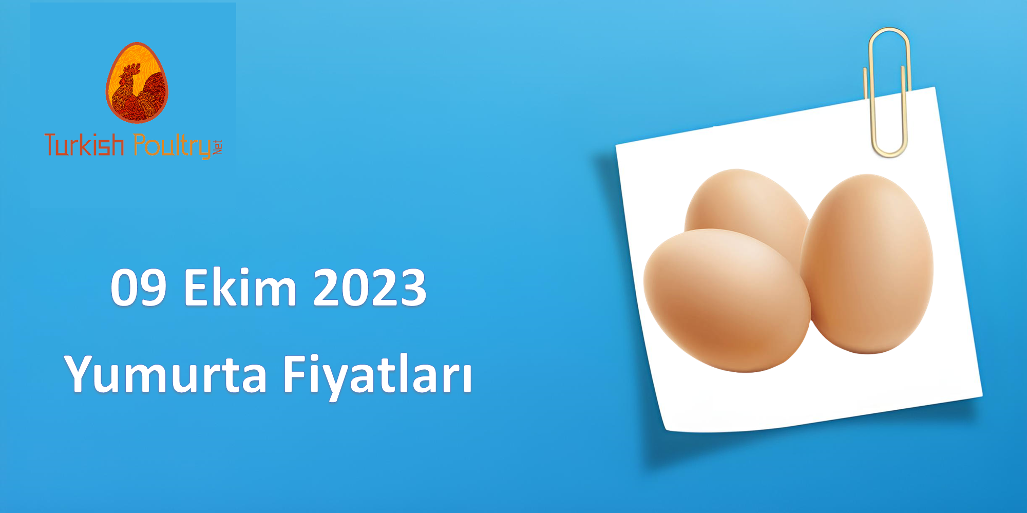 Yumurta Fiyatları – 09 Ekim 2023