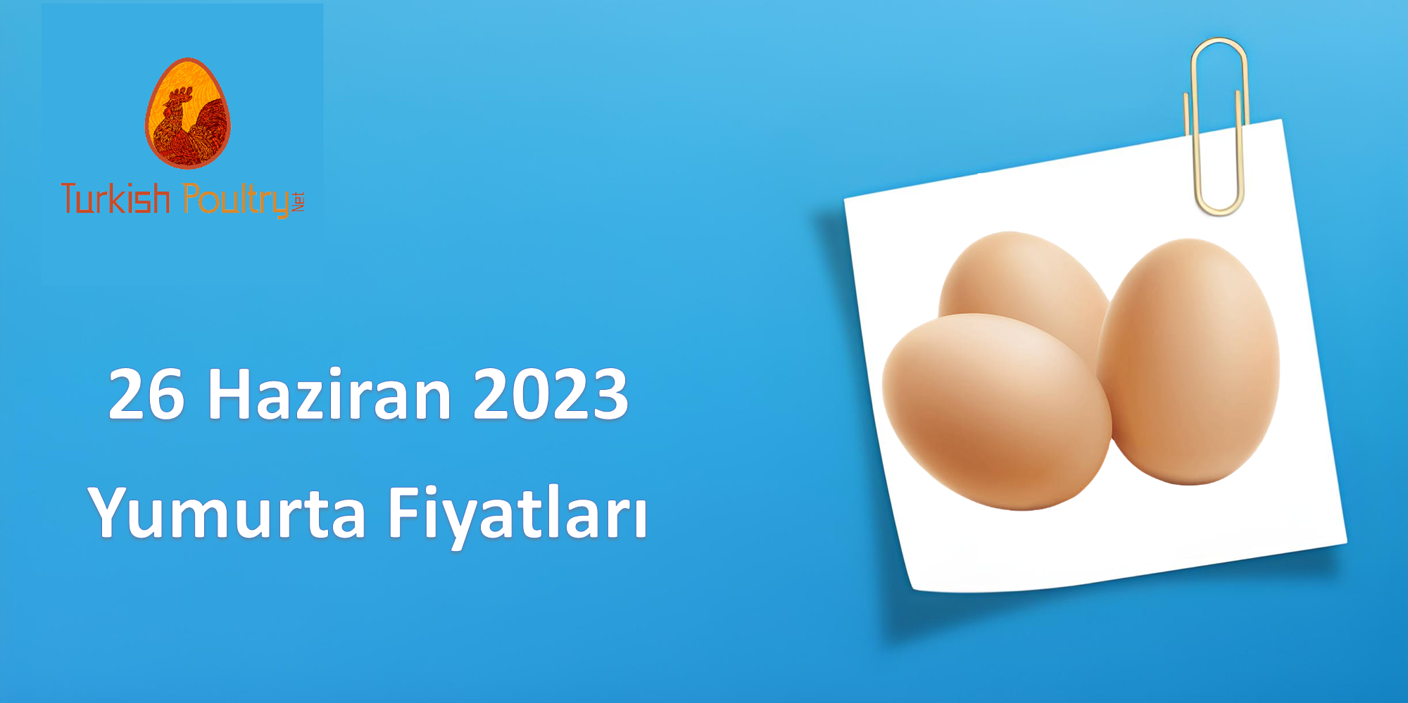 Yumurta Fiyatları – 26 Haziran 2023