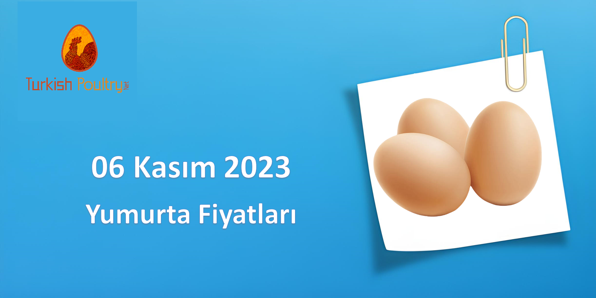 Yumurta Fiyatları – 06 Kasım 2023