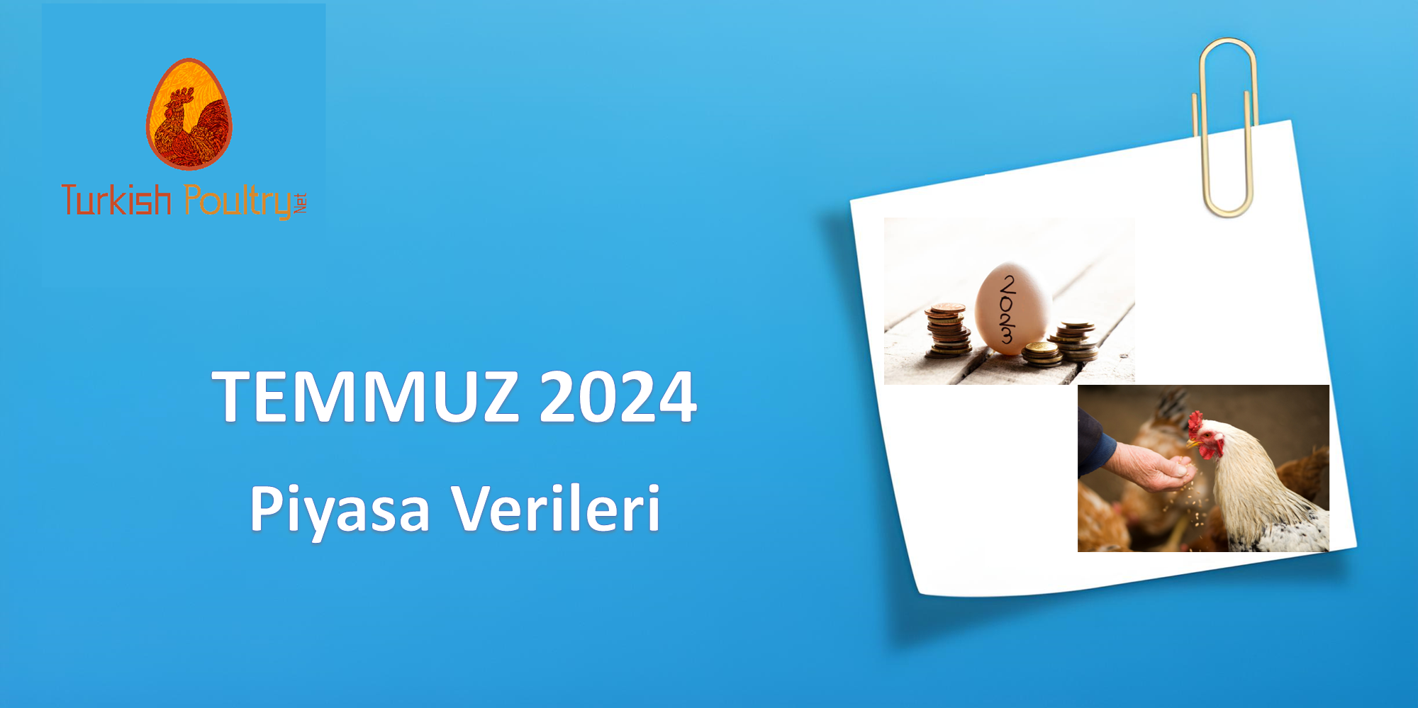 Piyasa Verileri – Temmuz 2024