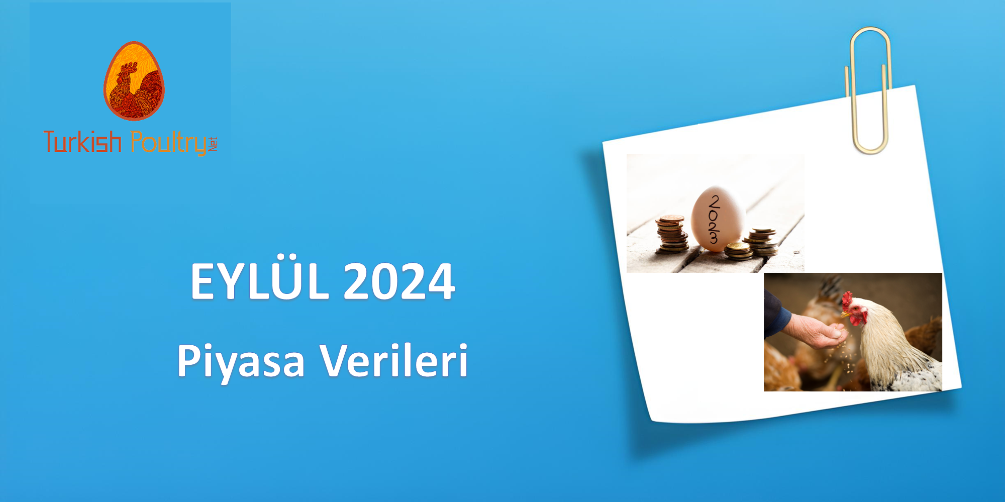 Piyasa Verileri – Eylül 2024