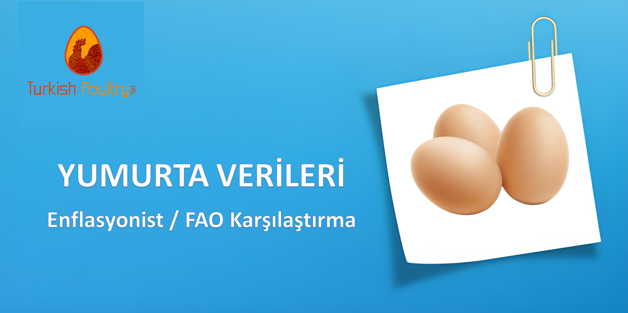 Yumurta Fiyatları / Enflasyon – FAO Veri Karşılaştırması