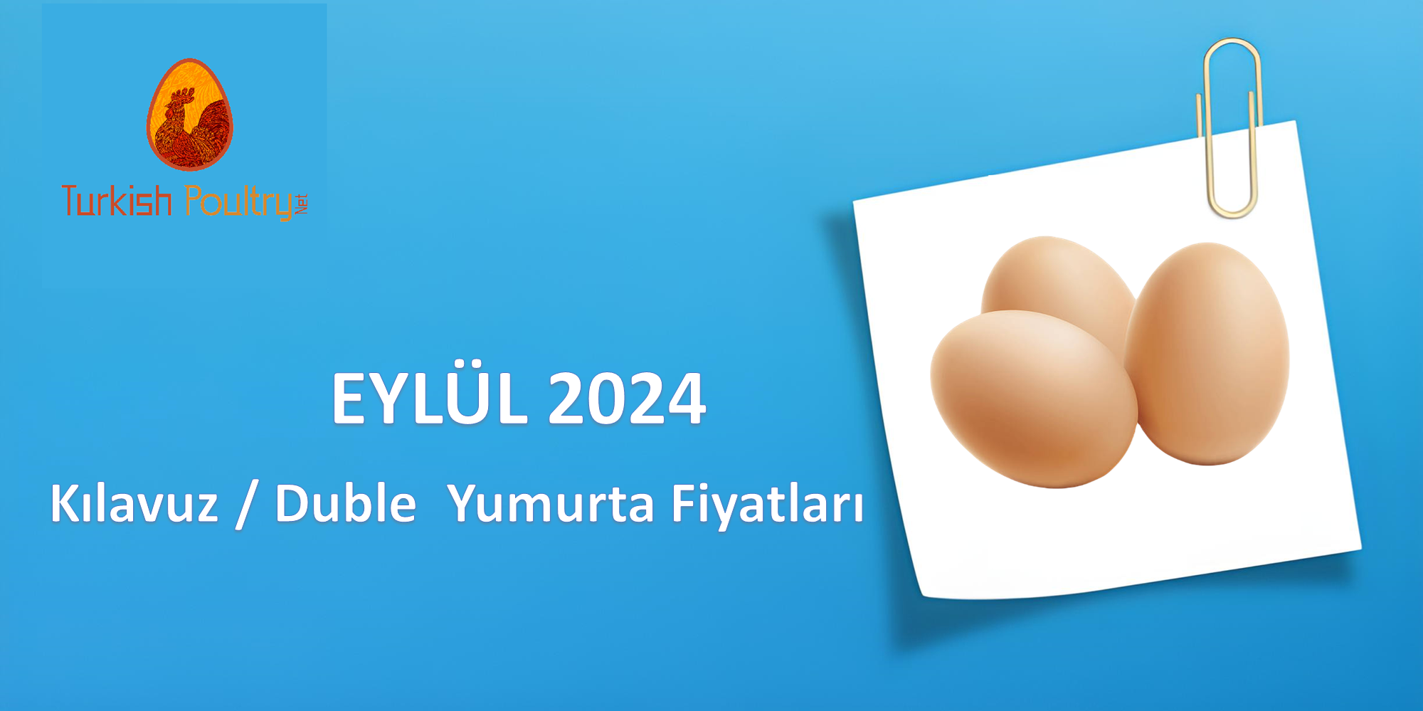 Kılavuz/Duble Yumurta Fiyat Korelasyon Verileri