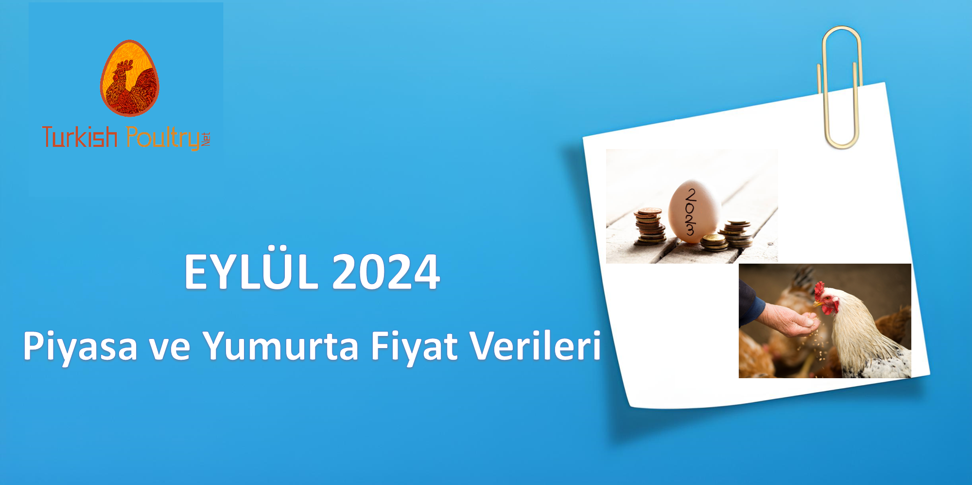 Piyasa ve Yumurta Fiyat Verileri – Eylül 2024