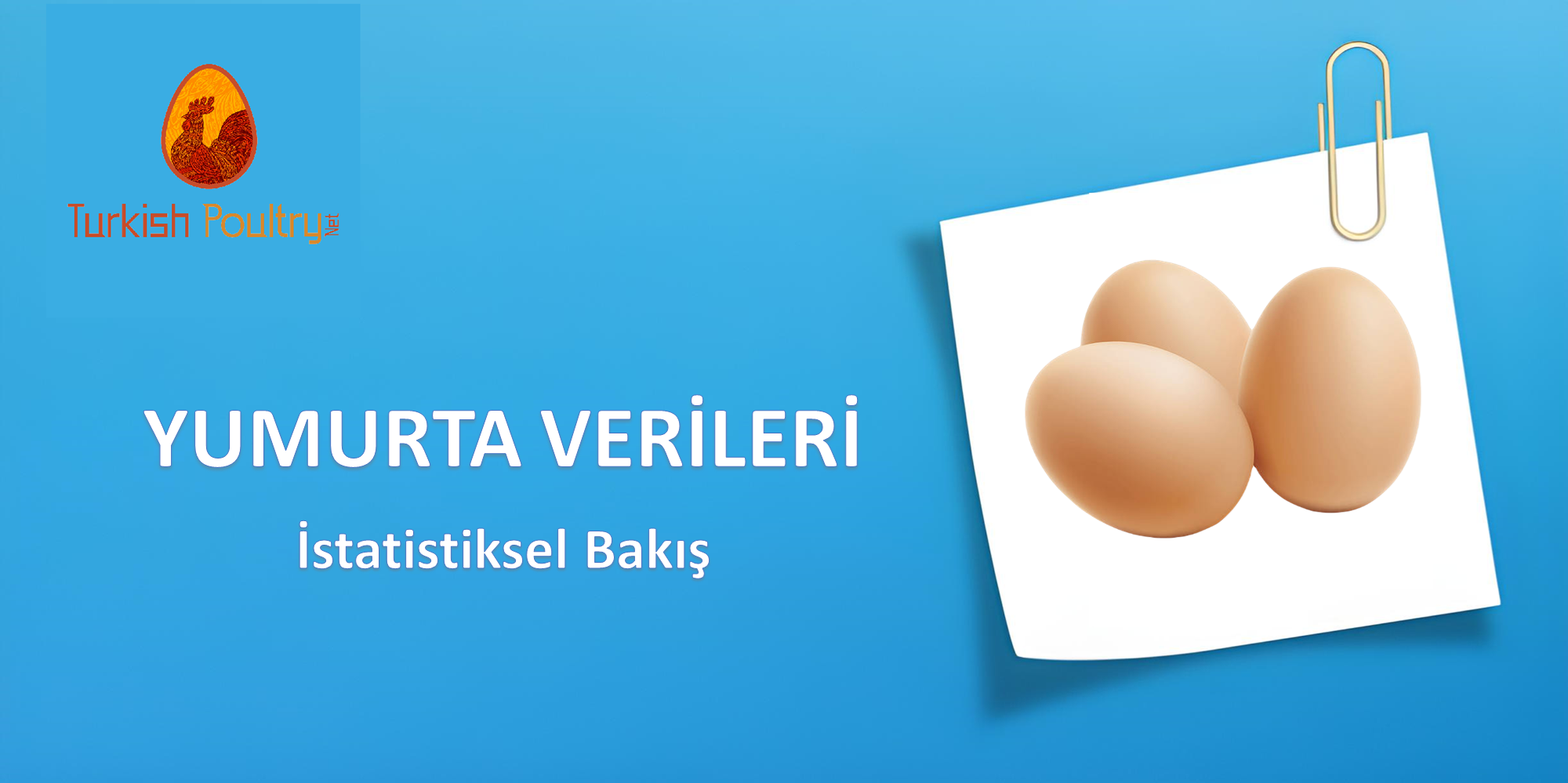 Yumurta Verilerine İstatistiksel Bakış