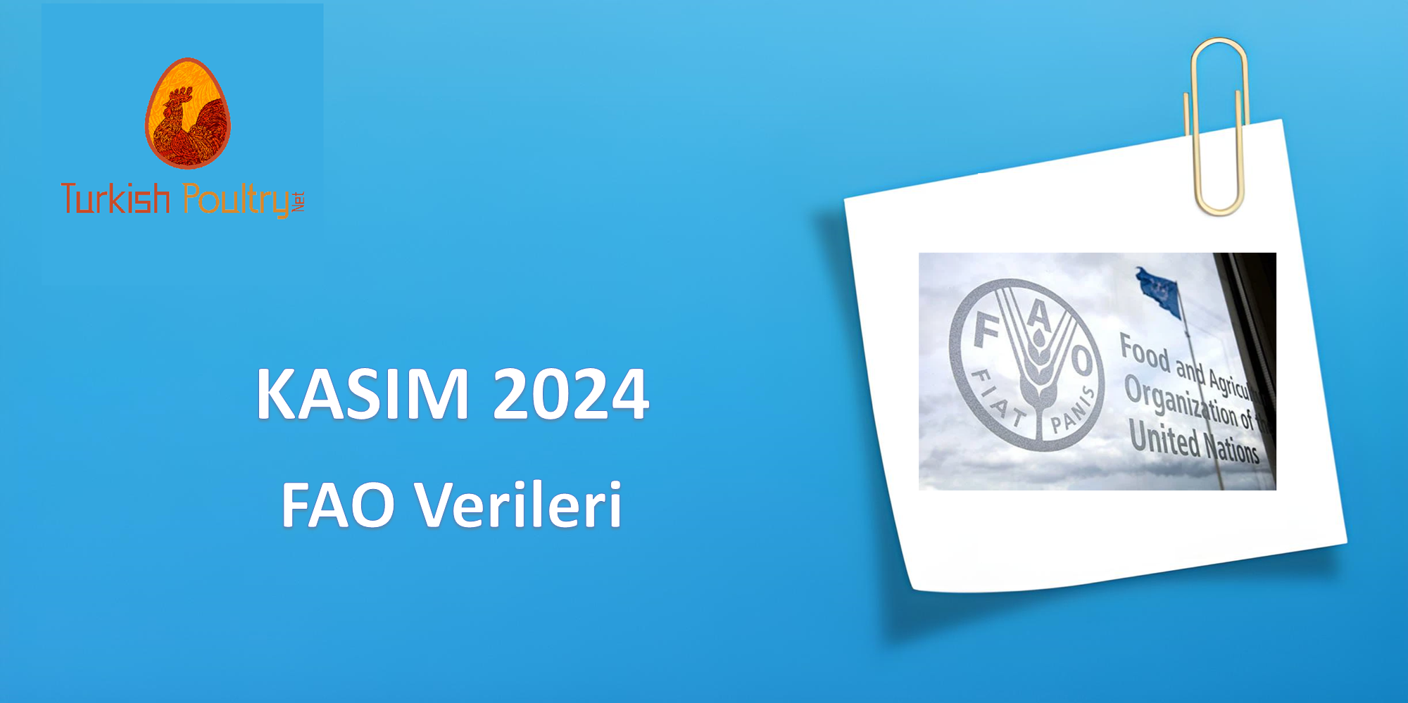 FAO VERİLERİ – ARALIK 2024