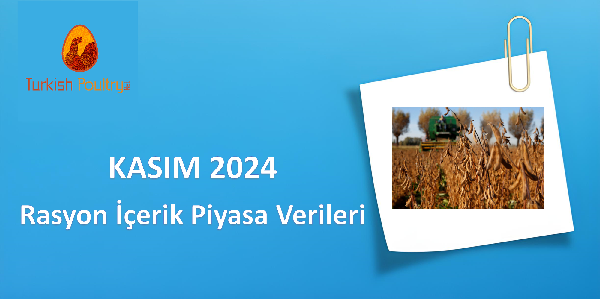 RASYON İÇERİK PİYASA VERİLERİ – ARALIK 2024