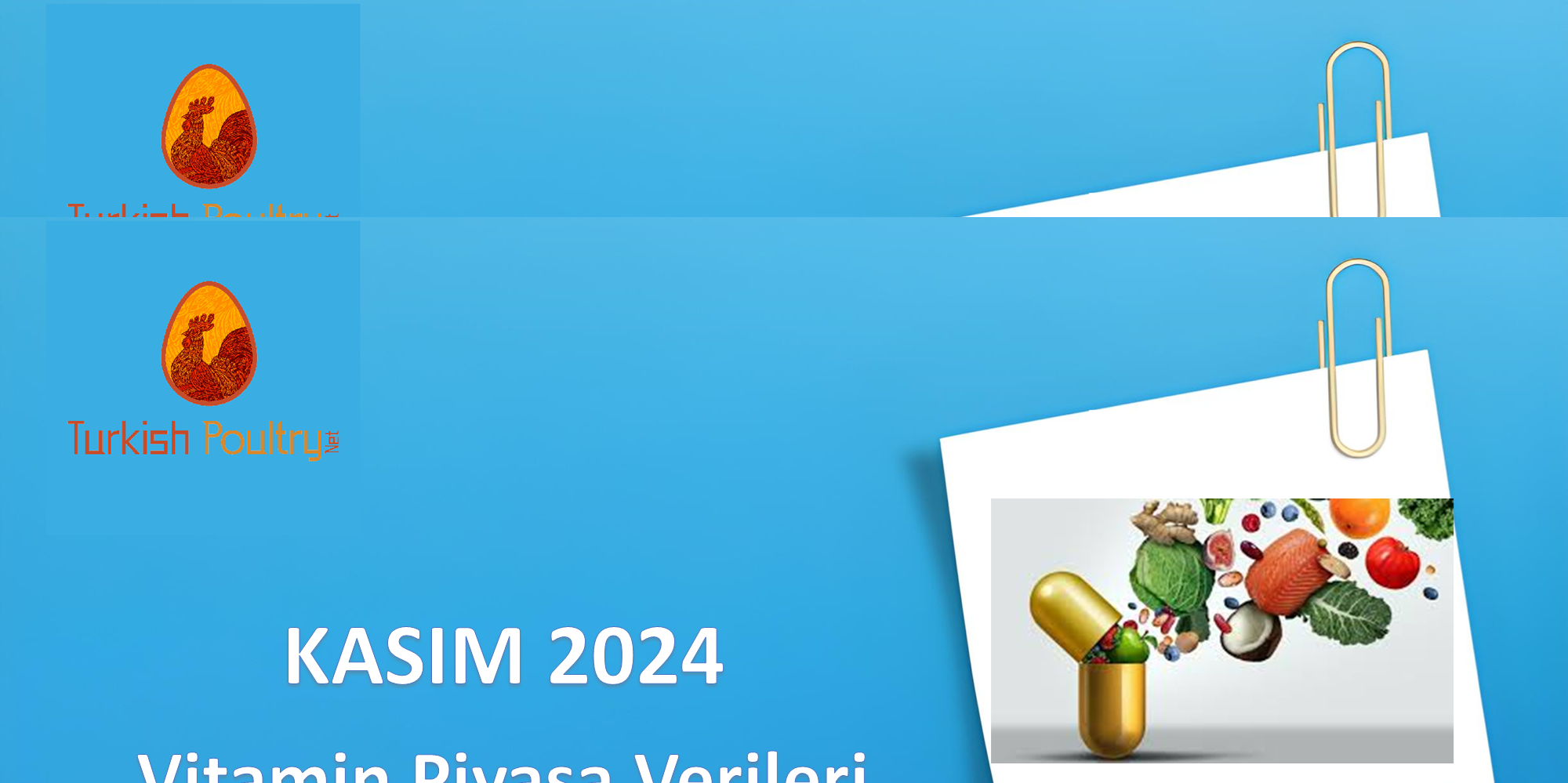 VİTAMİN PİYASA VERİLERİ – ARALIK 2024