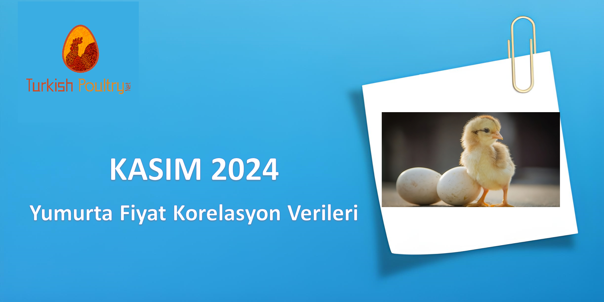 DUBLE – KILAVUZ YUMURTA FİYAT KORELASYON VERİLERİ