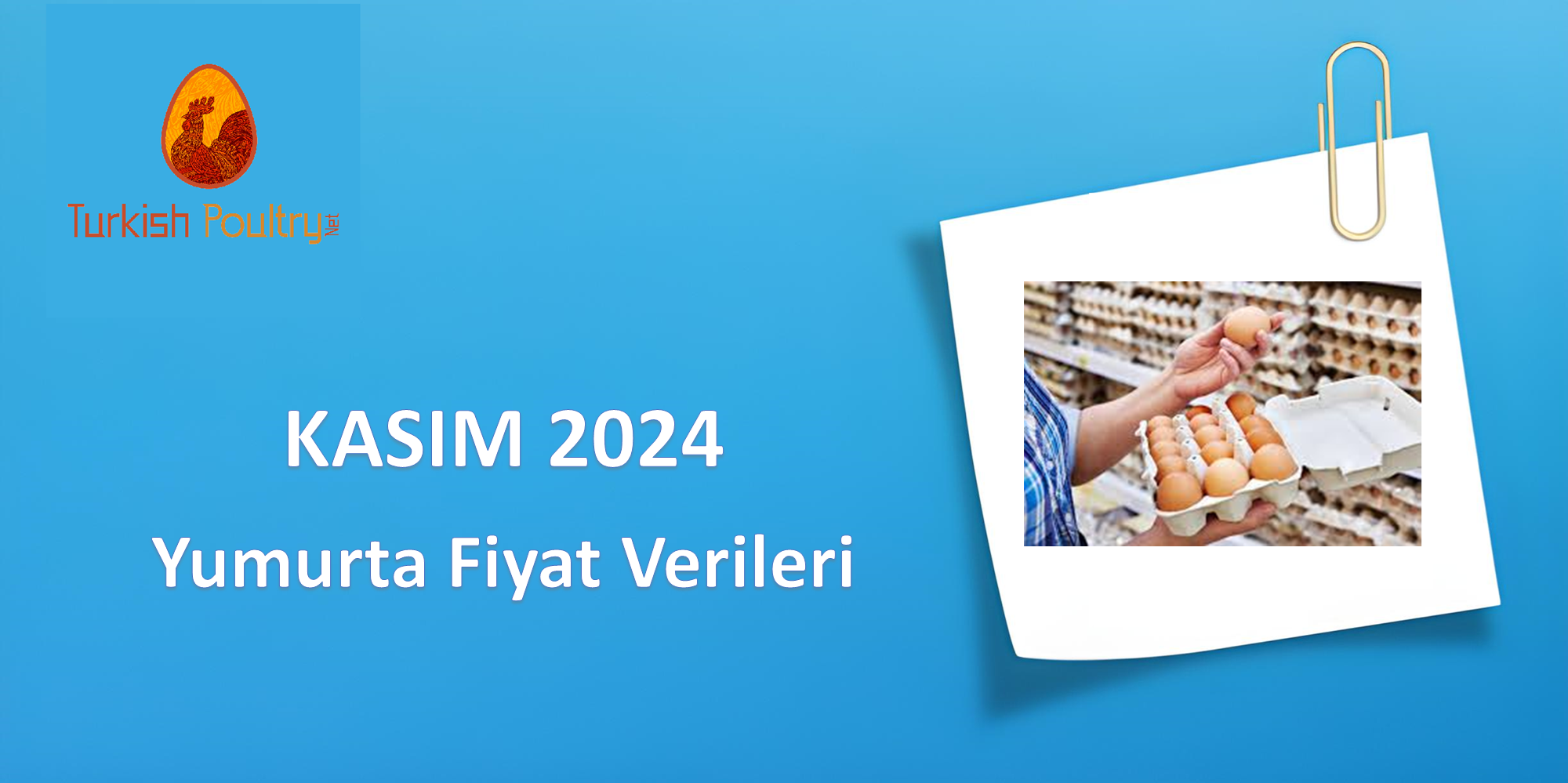 YUMURTA FİYAT VERİLERİ – ARALIK 2024