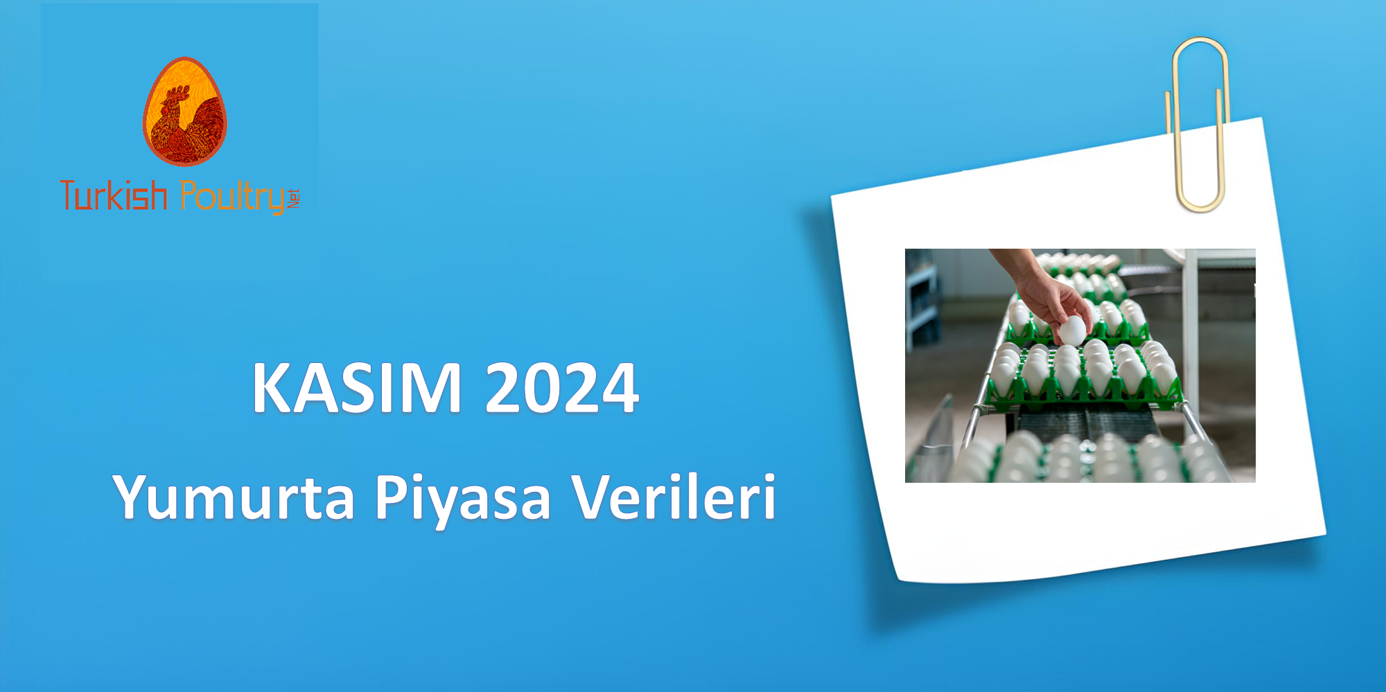 YUMURTA PİYASA VERİLERİ