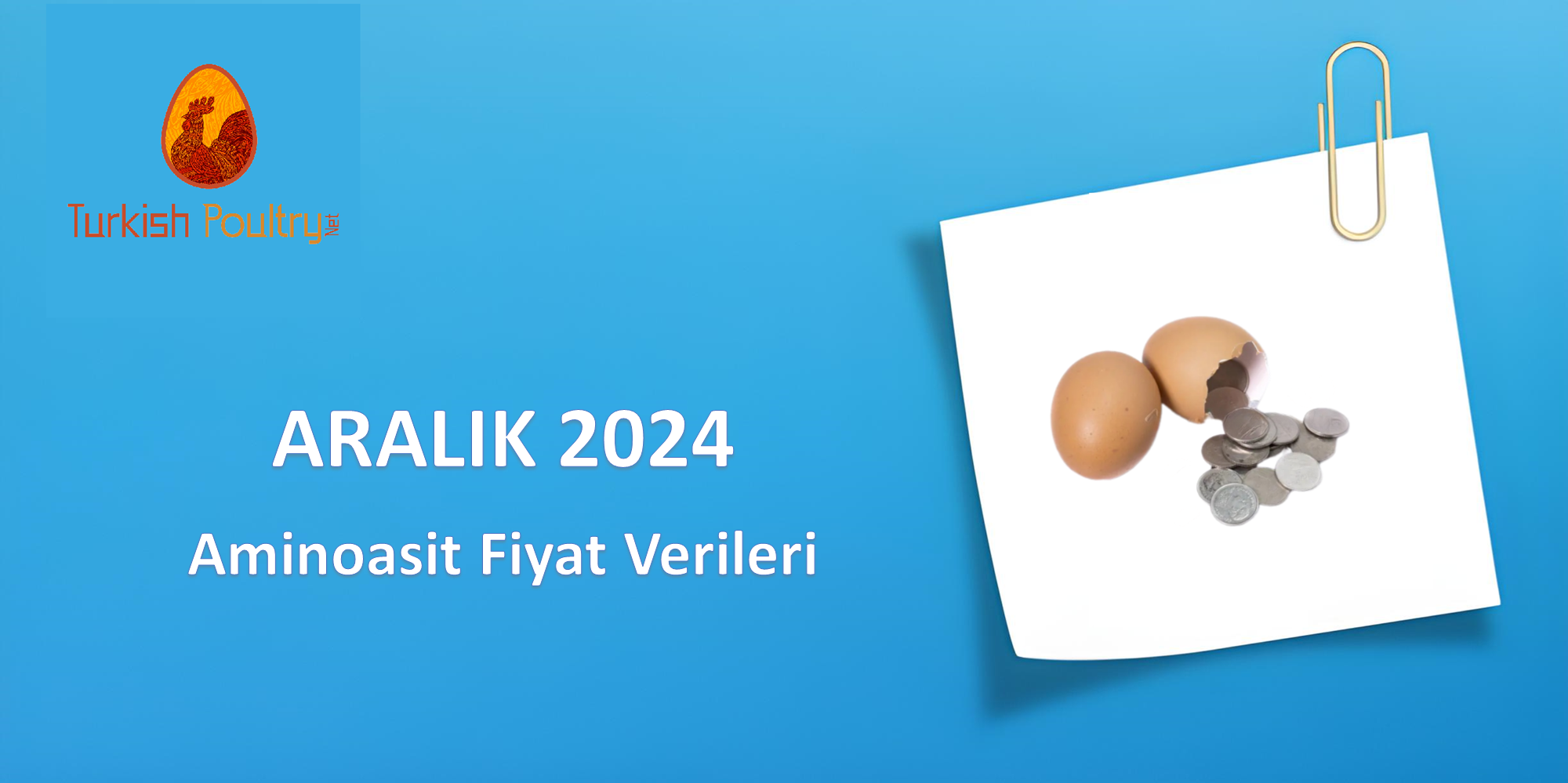 AMİNOASİT FİYAT VERİLERİ – OCAK 2025