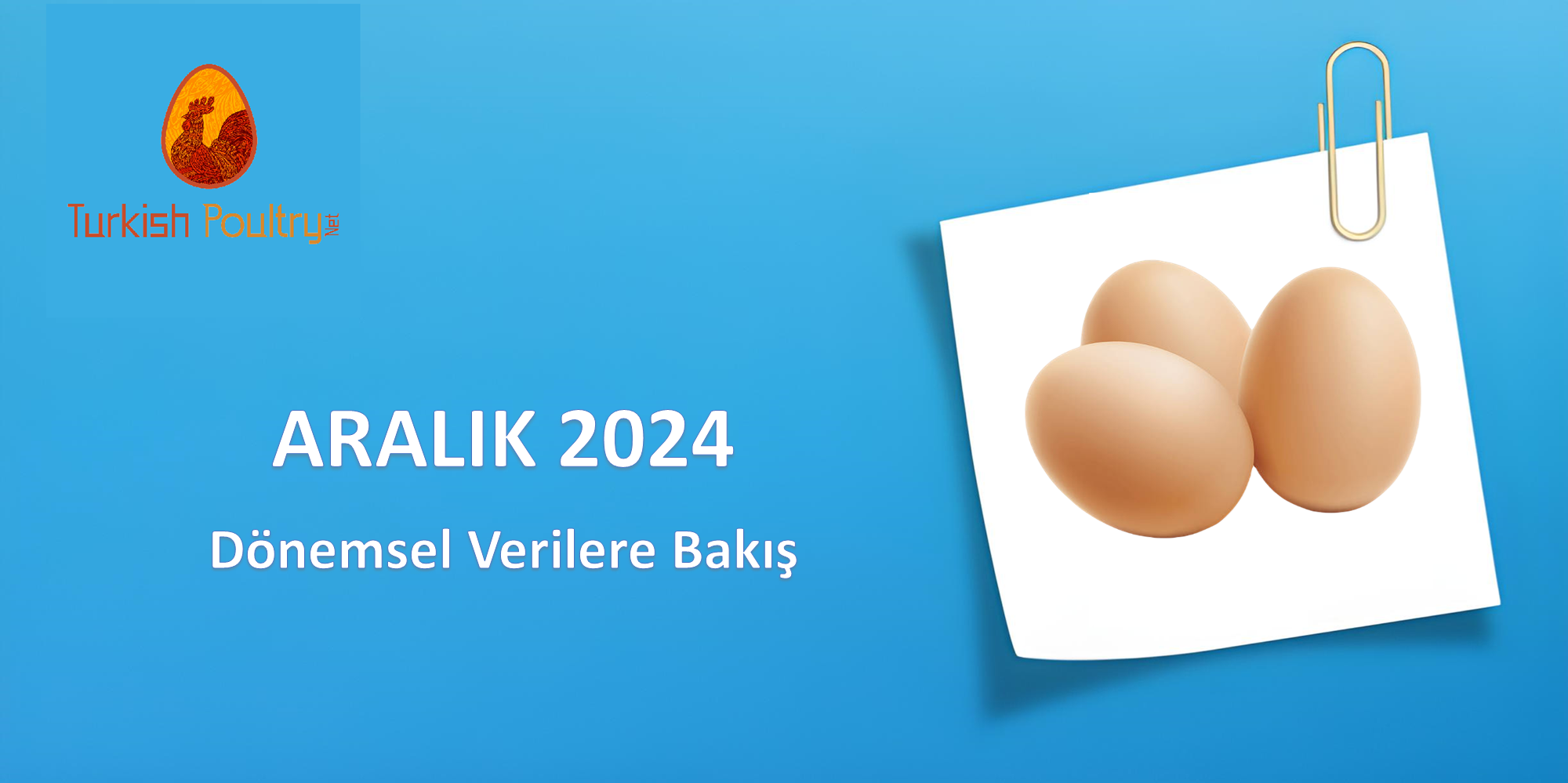 DÖNEMSEL YUMURTA FİYAT VERİLERİ – OCAK 2025