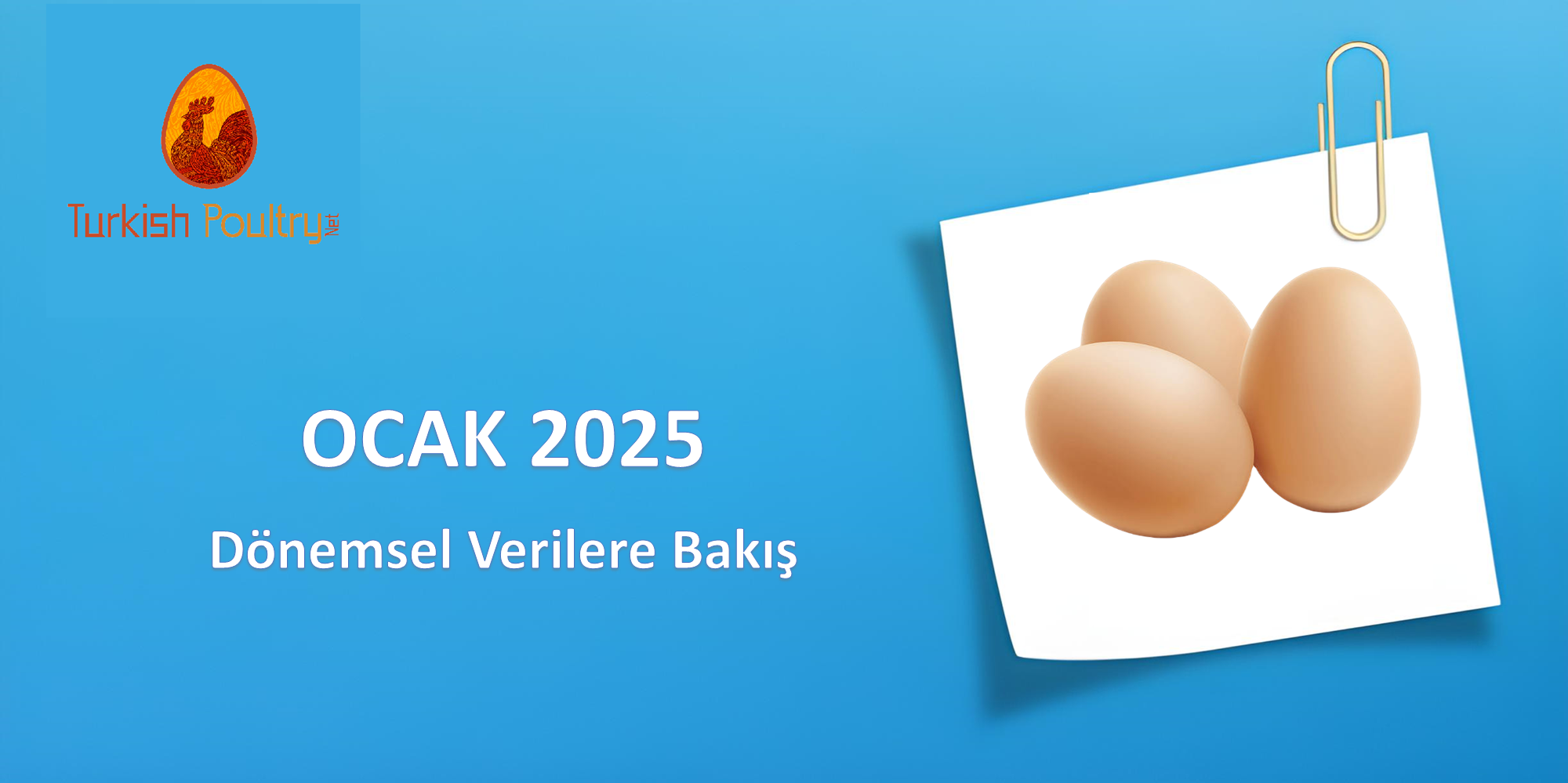 DÖNEMSEL YUMURTA FİYAT VERİLERİ – ŞUBAT 2025