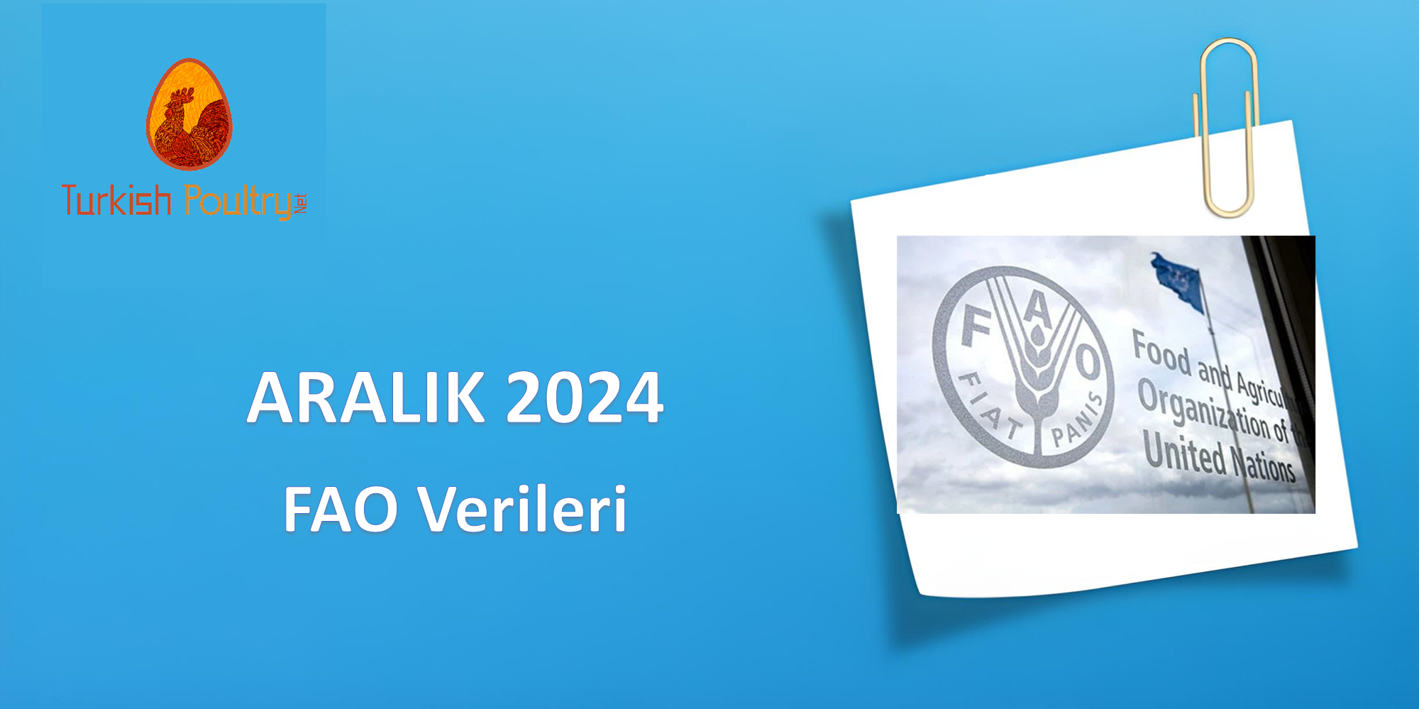 FAO VERİLERİ – OCAK 2025