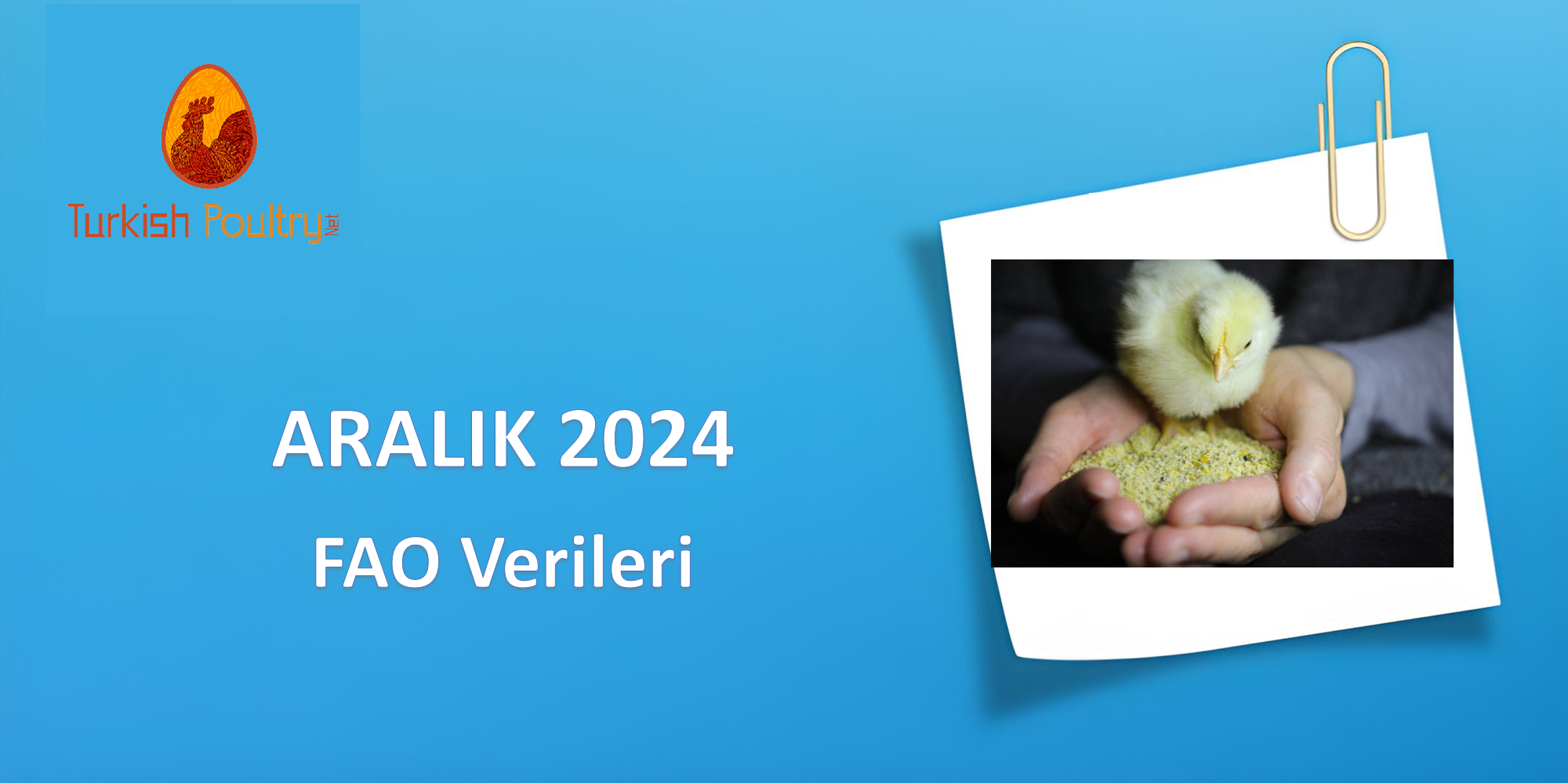 FAO VERİLERİ – OCAK 2025