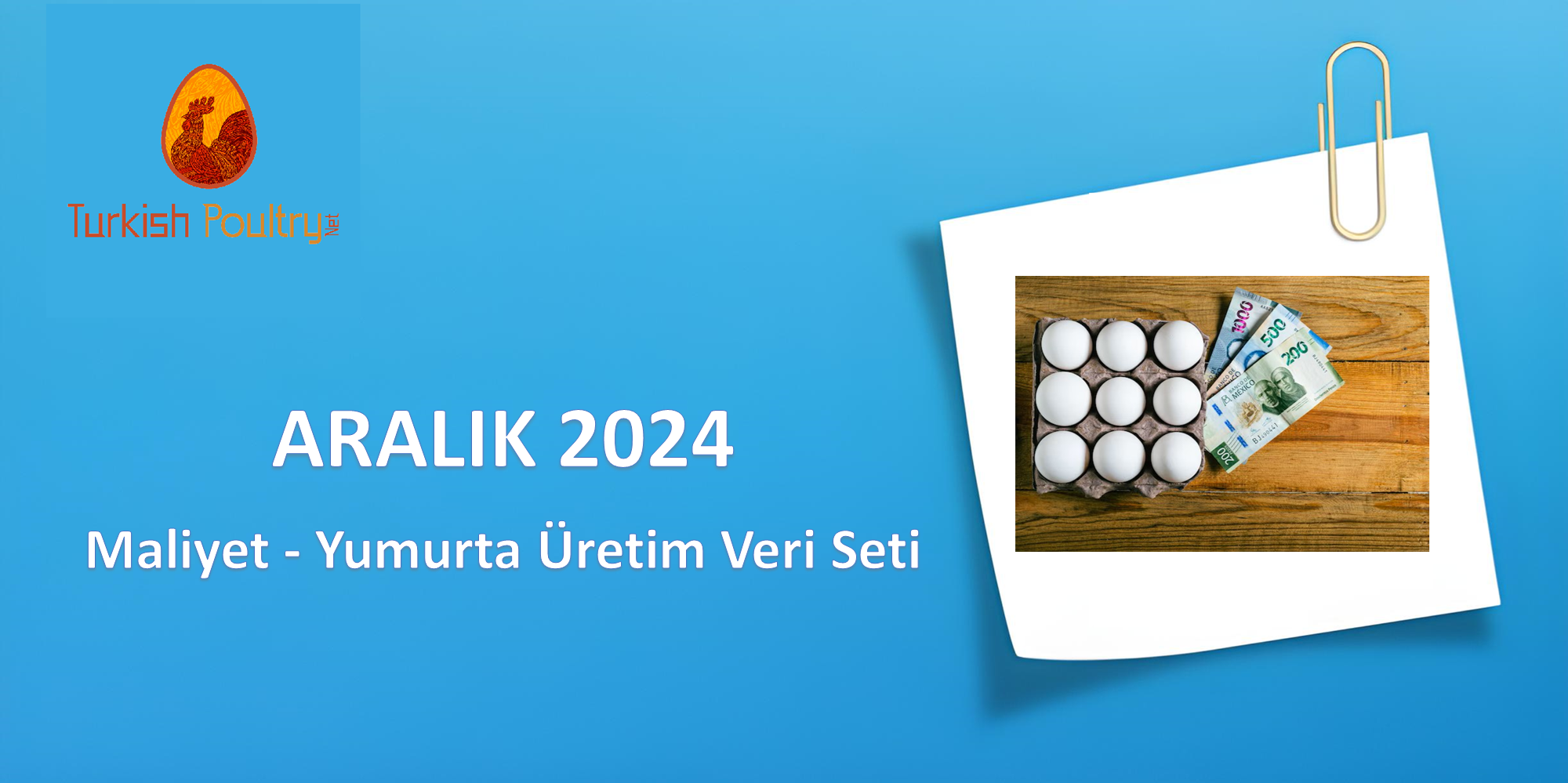 MALİYET – ÜRETİM VERİ SETİ – OCAK 2025