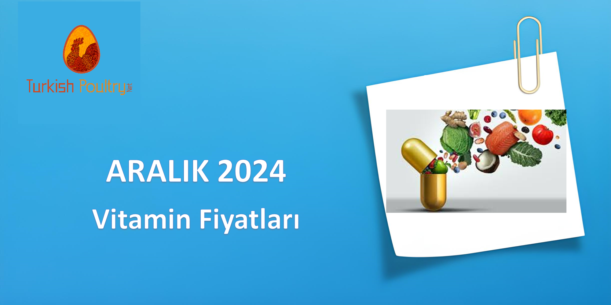 VİTAMİN FİYAT VERİLERİ – OCAK 2025