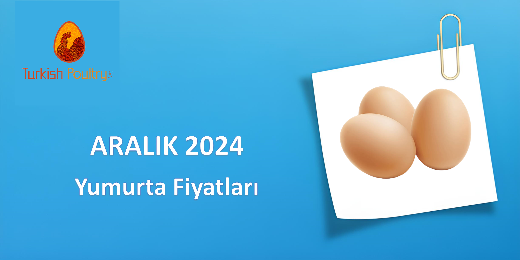 YUMURTA FİYAT VERİLERİ – OCAK 2025