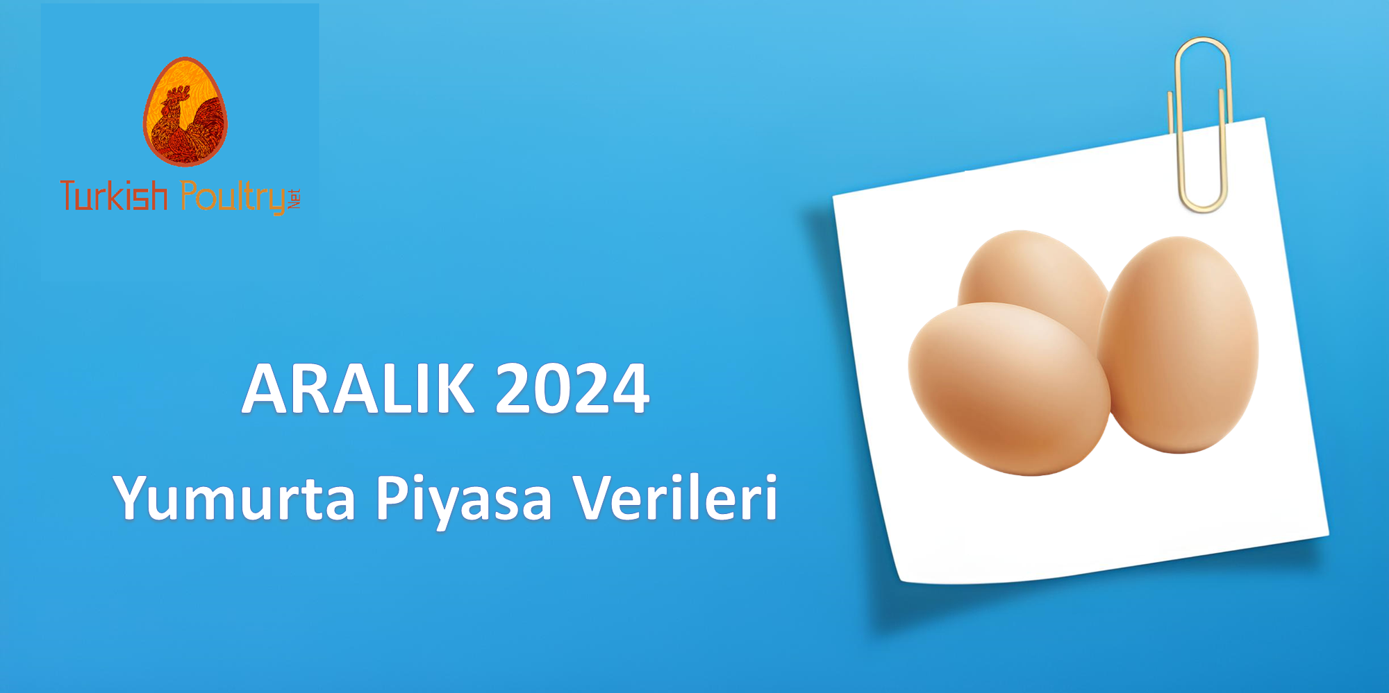 YUMURTA PİYASA VERİLERİ – OCAK 2025