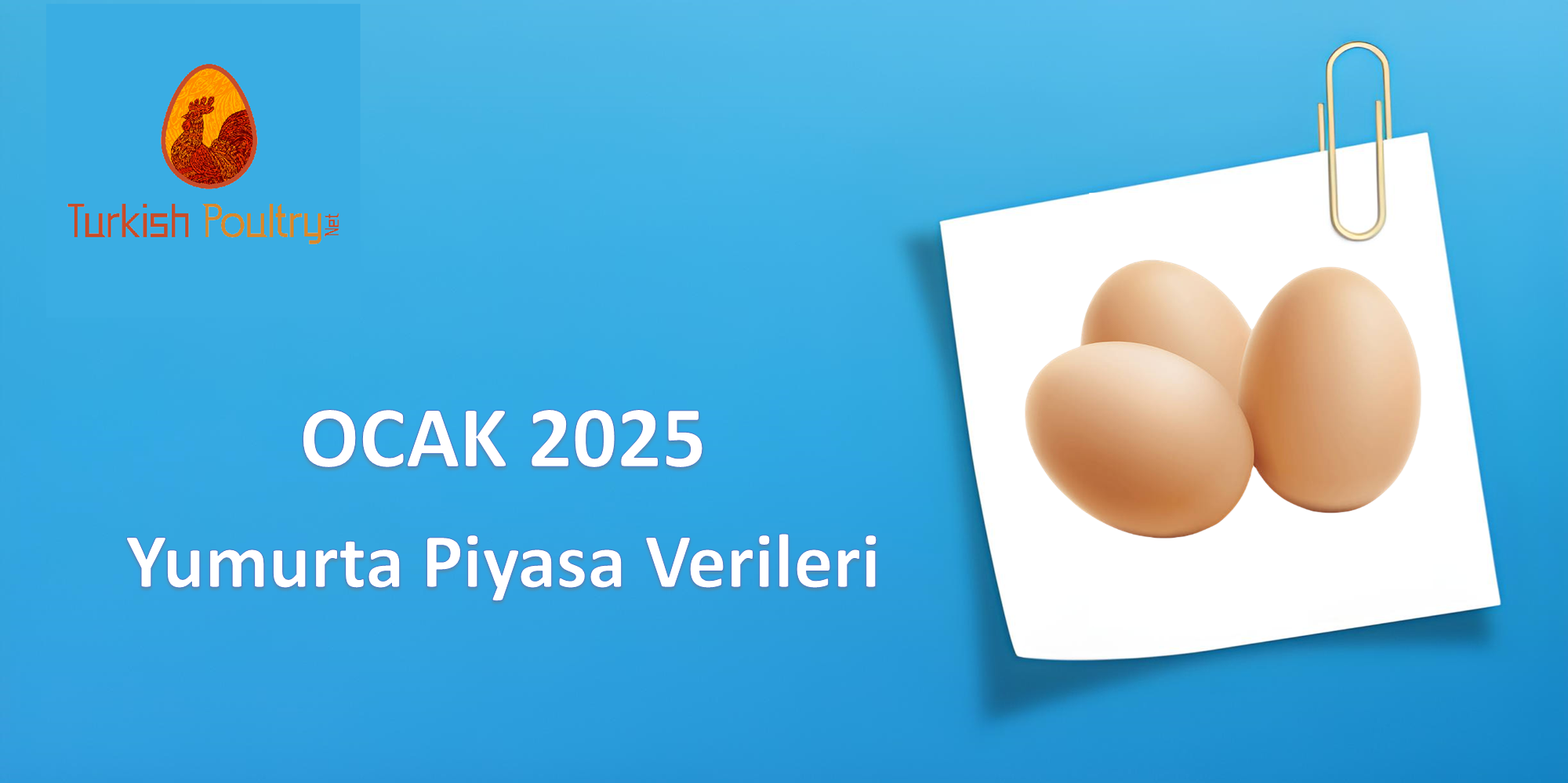 YUMURTA PİYASA VERİLERİ – ŞUBAT 2025