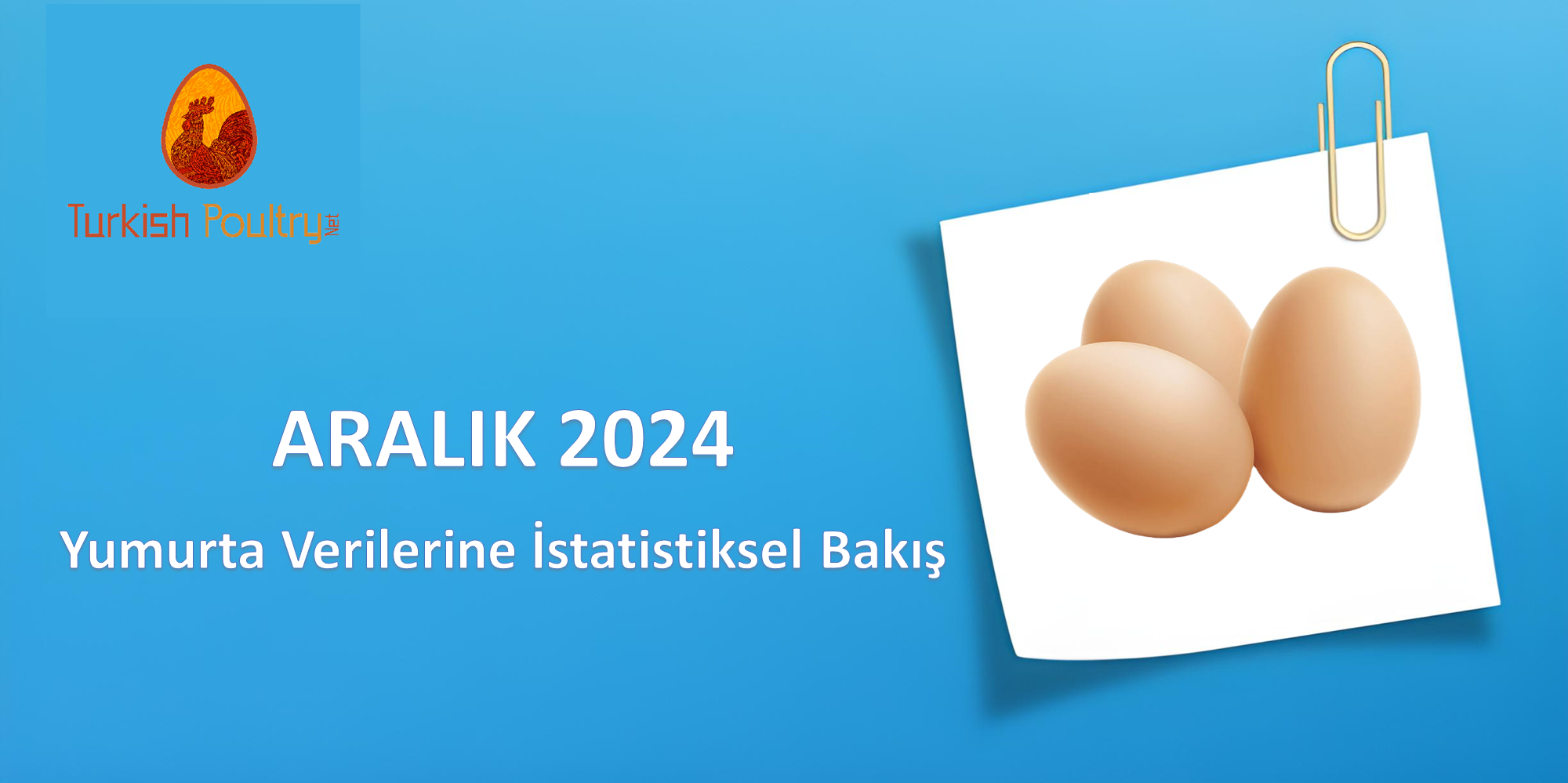 DUBLE – KILAVUZ YUMURTA FİYAT KORELASYON VERİLERİ – OCAK 2025