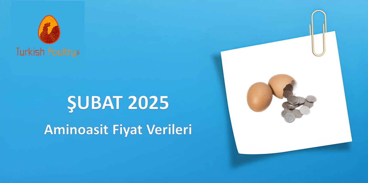 AMİNOASİT FİYAT VERİLERİ – ŞUBAT 2025