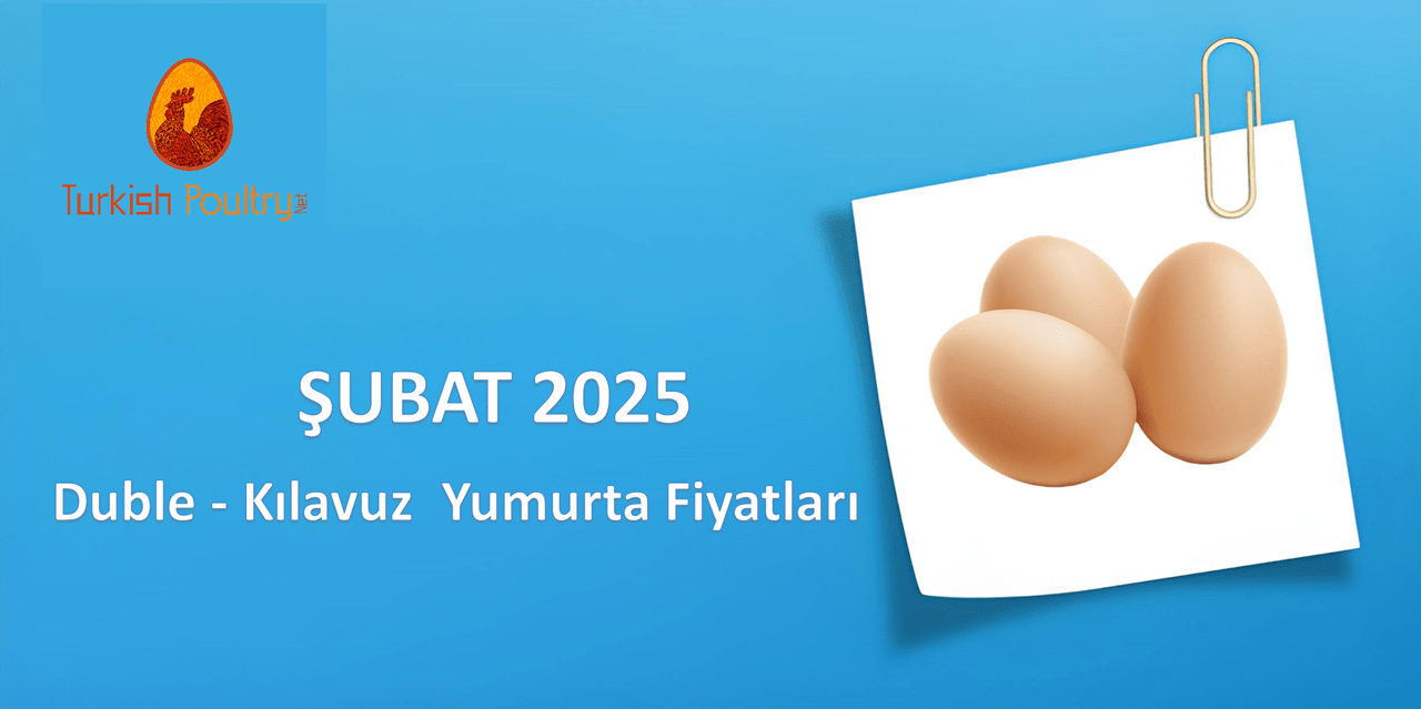 DUBLE – KILAVUZ YUMURTA FİYAT KORELASYON VERİLERİ