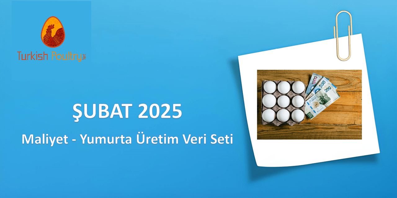 MALİYET – ÜRETİM VERİ SETİ