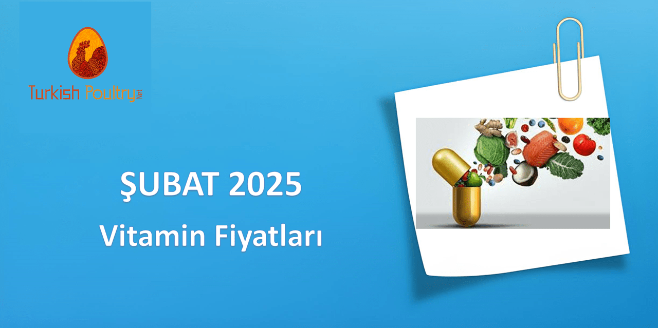 VİTAMİN FİYAT VERİLERİ – ŞUBAT 2025