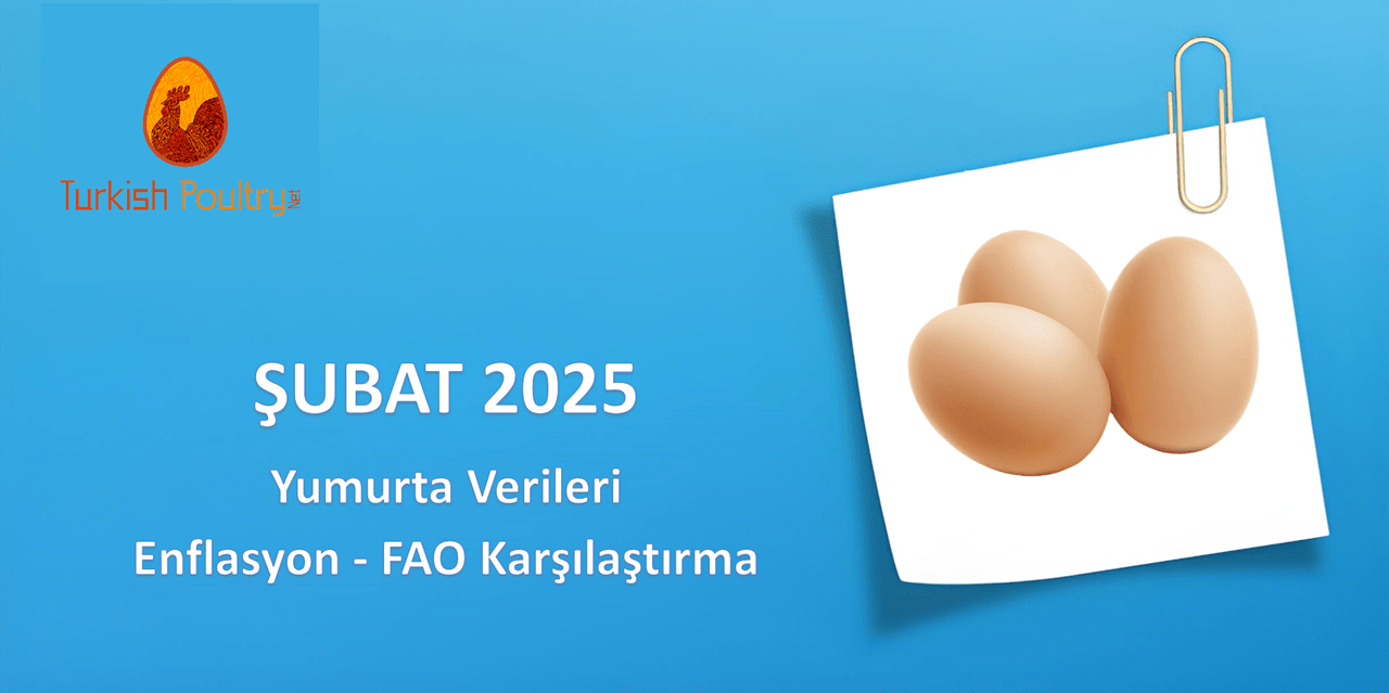 FAO – ENFLASYON – YUMURTA FİYAT DEĞİŞİM VERİLERİ